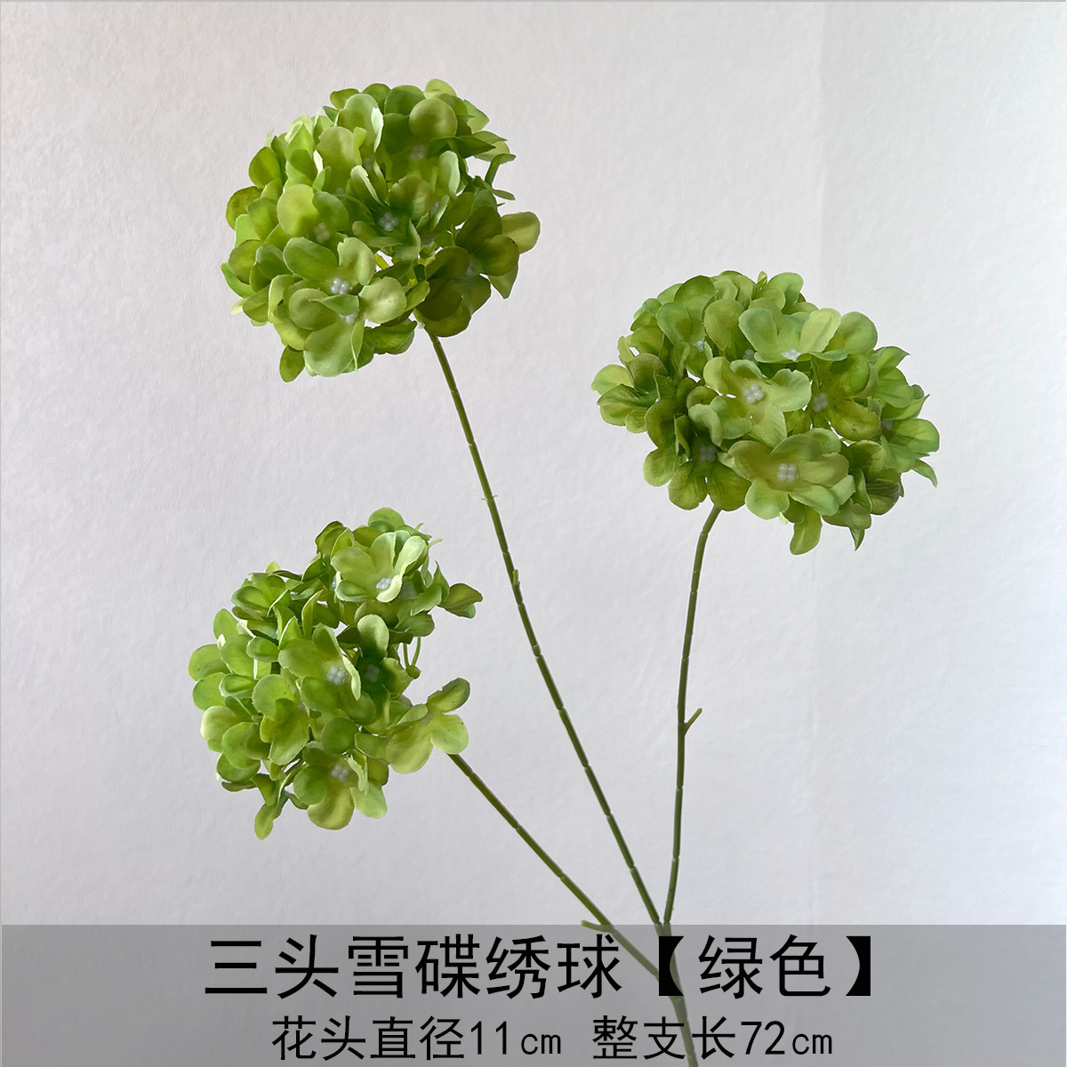 Hortensia de tres platos de nieve - verde