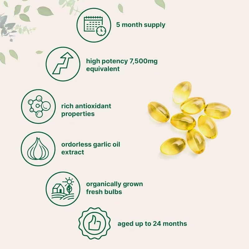 Новый товар в наличии, продажи с наибольшими продажами AgedGarlic Extract odorless garlic oil soft capsule OEM