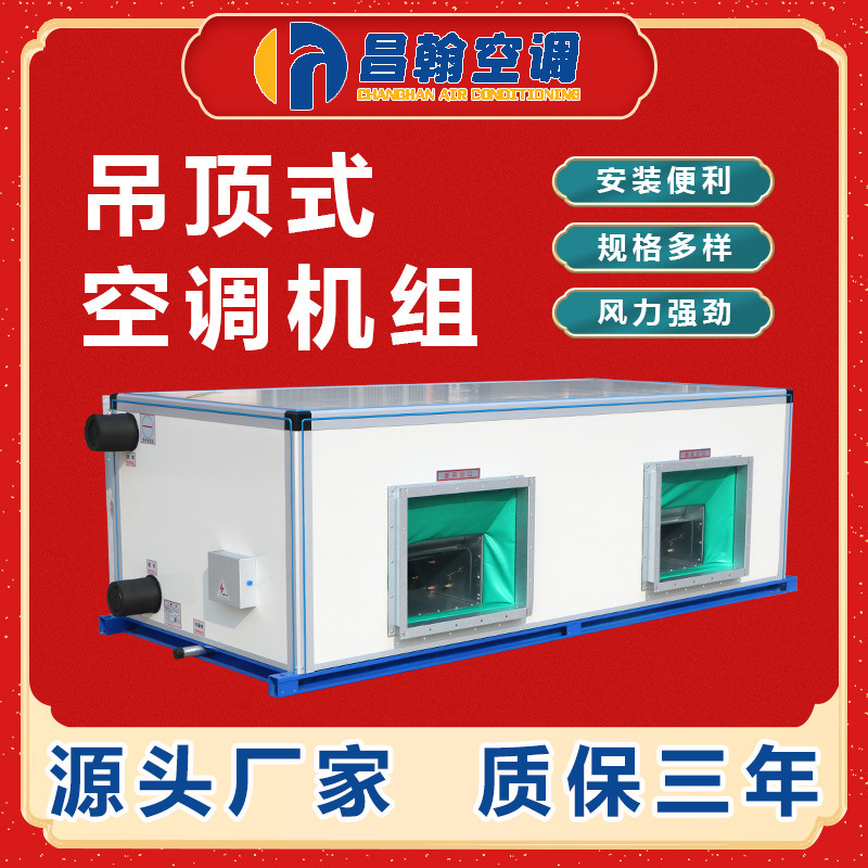 Customized Remote Jet-Type Factory Building Heating and Cooling Dual-Use Commercial Fresh Air System Unit, Ceiling-Mounted Air Conditioner, Precision Air Conditioner