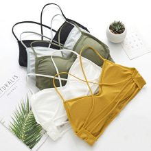 夏季美背内衣女学生韩版吊带背心女抹胸式裹胸文胸无钢圈外穿内穿