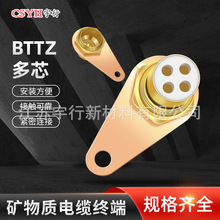 矿物质电缆终端头BTTZ接地卡BTTVZ防火附件BTTYZ配件矿物终端刚性