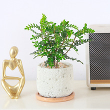 �������ľ�����k���҃��������BС�Gֲ�ļ������xֲ���ļ�����