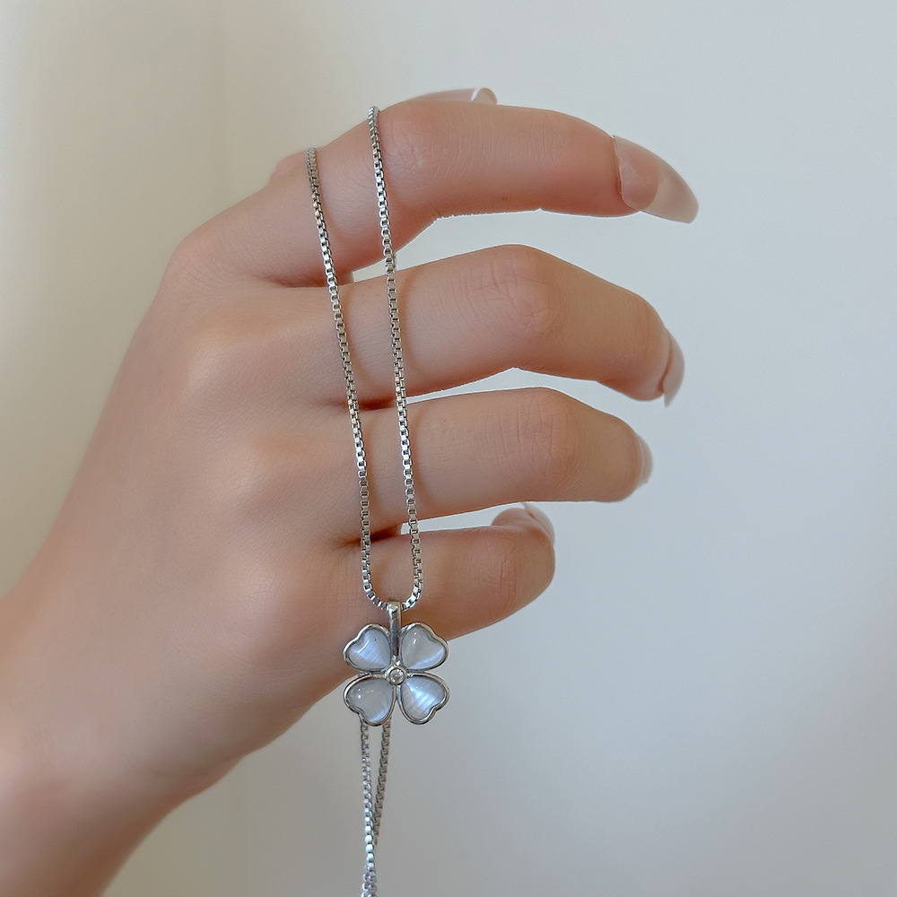 은행 나무 biloba