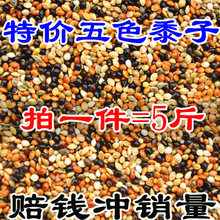 $��Ƥĵ�����P��С���W�^�Bʳ�����ɫ�����W�^��ϼZ���Ӱ��]��