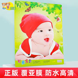 定制宝宝海报照片画报漂亮可爱男婴儿画胎教早教图片厂家批发