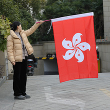 144X96cm香港区旗3号4号5号紫荆花旗帜香港特区户外旗旗帜户外旗