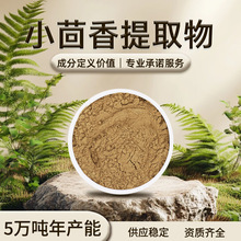 小茴香提取物 棕褐色 易溶于水 茴香香味 干燥避光储存 现货批发