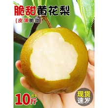 ���r�S����10�ﮔ���Fժ�SƤ��ʹ����ִ���Ǵ����ˮ�����]