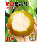 新鲜黄花梨10斤当季现摘黄皮梨皇冠梨酥脆梨非翠冠梨水果包邮