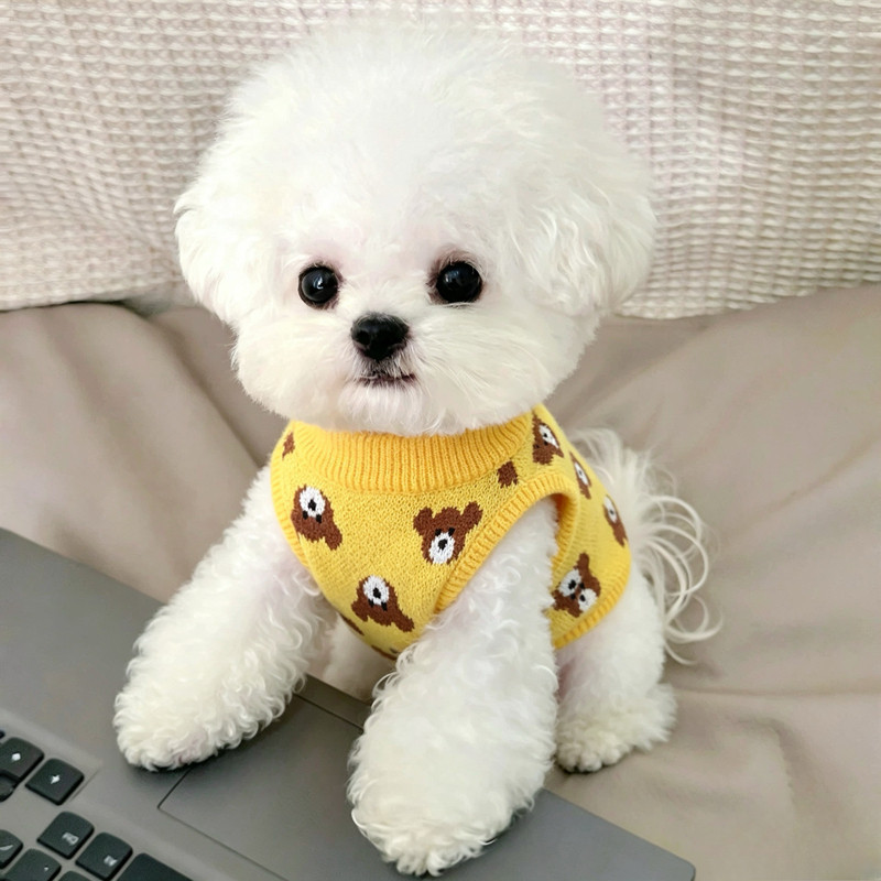 Pet Knitted Sweater Teddy Bichon Pomeranian Schnauzer Small Puppy Yorkshire Dog Clothes Autumn New Style