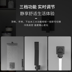 Lifestyle Embedded Engineering Bathroom Shower Head Set Black Hotel Bathroom Hidden Shower Full Set Wholesale