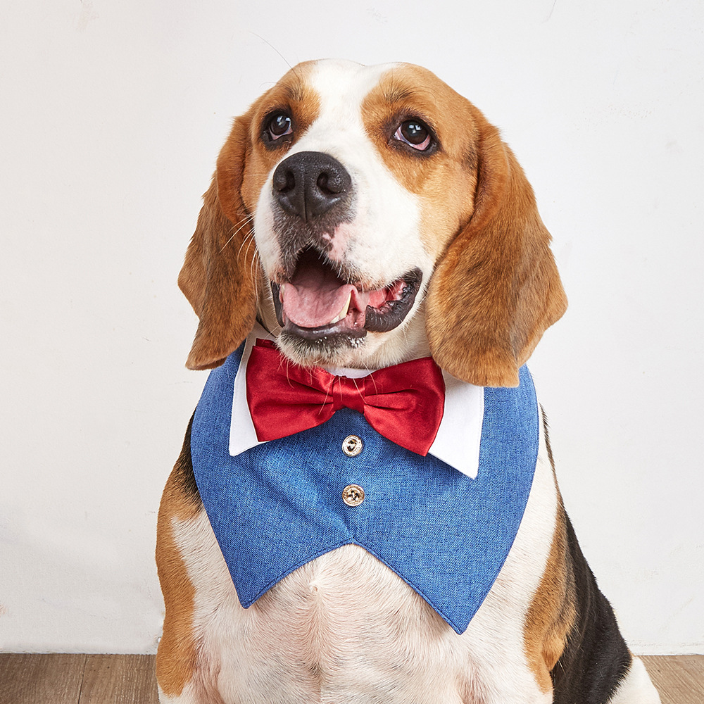 Tanpopo nuevo traje de boda británico para mascotas Toalla de saliva Velcro Toalla de triángulo para mascotas bufanda de perro