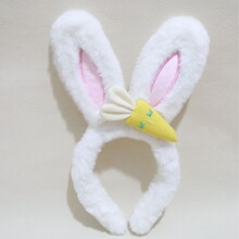 �ͻ���}���ö���ë�q�^l���q���l�ϴĘ�A�l���ÿɐ��^��Ů