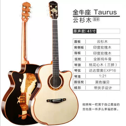 Guitar, zodiac signs handmade