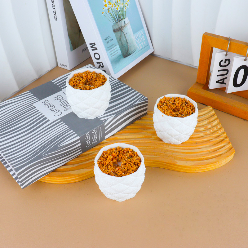 Maceta de Plástico para Cultivo Fuerte y Durable para Decoración del Hogar
