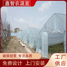 厂家现货销售全钢架日光温室暖棚 蔬菜大棚钢架 单体棚骨