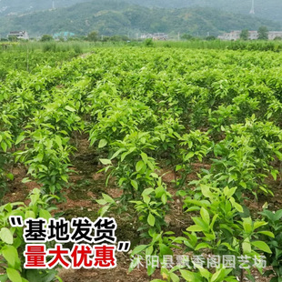 �o���۽��� �޽ӽ��Ә���o��ɳ�ǽ��Ϸ����������箔��Y��