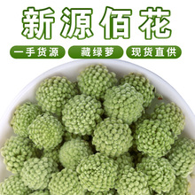 包邮批发新货西藏绿萝花 散装500g花茶雪中情密蒙花 藏绿萝雪丽花