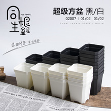 �F؛���l�Ӻ�С�ڷ�����ֲ�ﻨ������С�����ɫ��С������⻨��