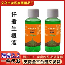 玫瑰月季扦插生根液移栽种植快速强力生根营养液体肥料扦插生根液