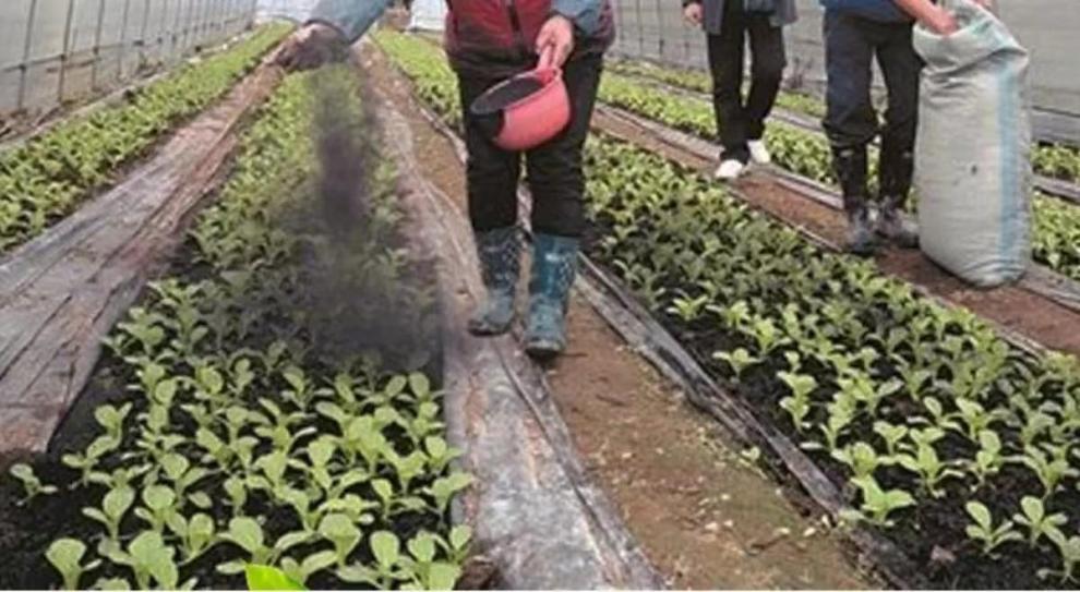 f351bcf7-00f7-49fd-b41d-433f7b188cfa.jpe