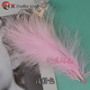Velvet Xin Yang Mao Jiang tea, accessory, clothing, feather stuffing, wholesale