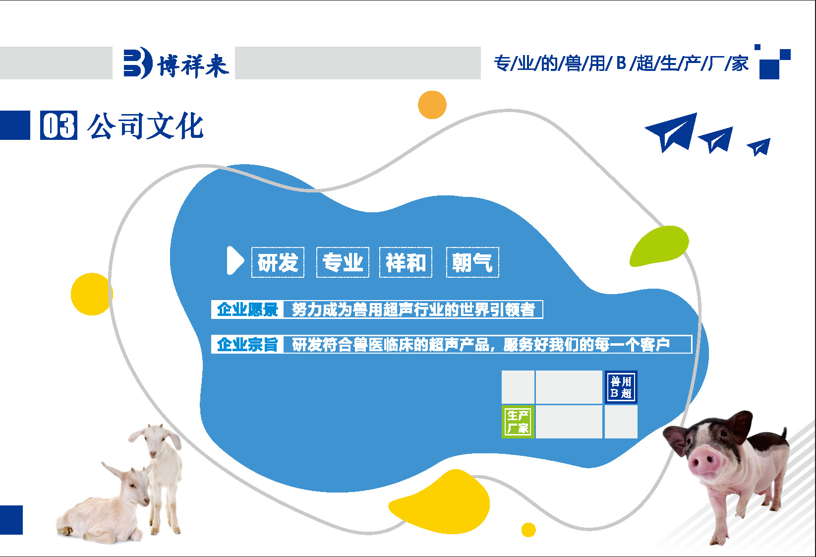 公司实力 (4).png