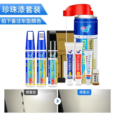 Avtomobil boya qələmləri Scratch Repair Kit Paint Pen - paint-touch-up-pen-pearl-paint-set-take-pictures-of-the-color-of-the-model