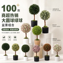 100+���A��ֲ��[�����ԽM�Ͽ羳�̳����N�ҾӾGֲ�[�������辰