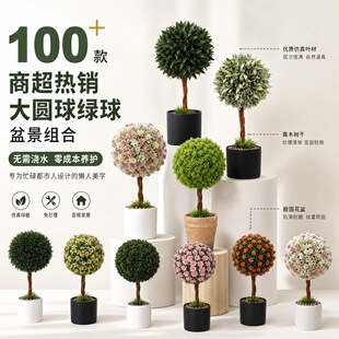 100+���A��ֲ��[�����ԽM�Ͽ羳�̳����N�ҾӾGֲ�[�������辰