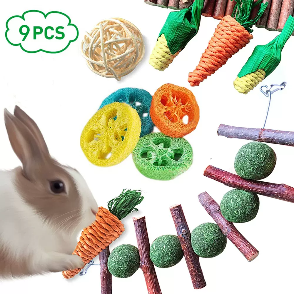 跨境爆款仓鼠兔子龙猫磨牙啃咬玩具9件套 草球串丝瓜络片洁牙玩具