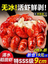 ̖rβrСrorβؼrrlrA3