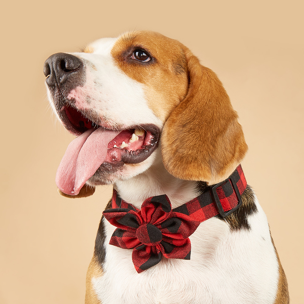 Tanpopo flores de sol de Navidad cuadrado rojo y negro para mascotas collar arco collar perro corbata