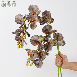 EVA����7�^���z�޾�߅���m�Wʽ�ָм��m����Y��ˇ�ҾӲ����b�