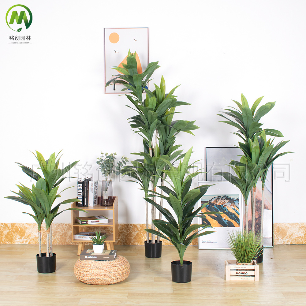 Planta verde de simulación de piso a gran escala, árbol de hierro rojo, madera brasileña, decoración interior, planta de simulación, hierro brasileño de borde amarillo