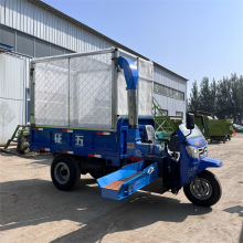 ʽ݆厲܇ ɝýն厲zC ƄʽвݷC