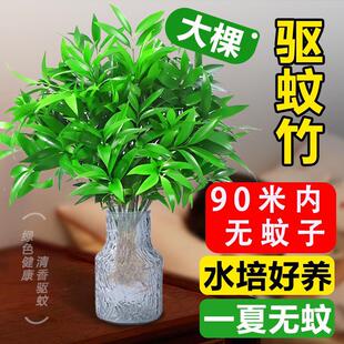�ش����ظ����ˮ��ˮ�Bֲ��͏d�k���҃��ļ�����Gֲ����x��