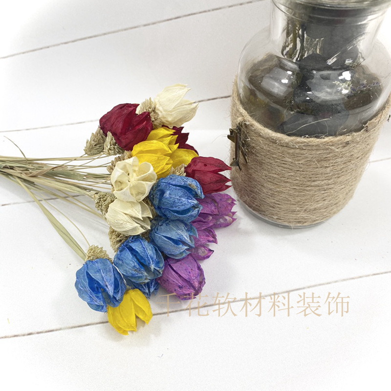 干花洛神花开新品上市场景布置花材制作