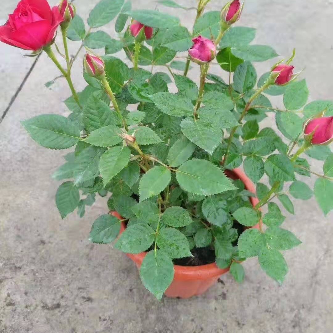 2024-03-26 11:33:02.jpg