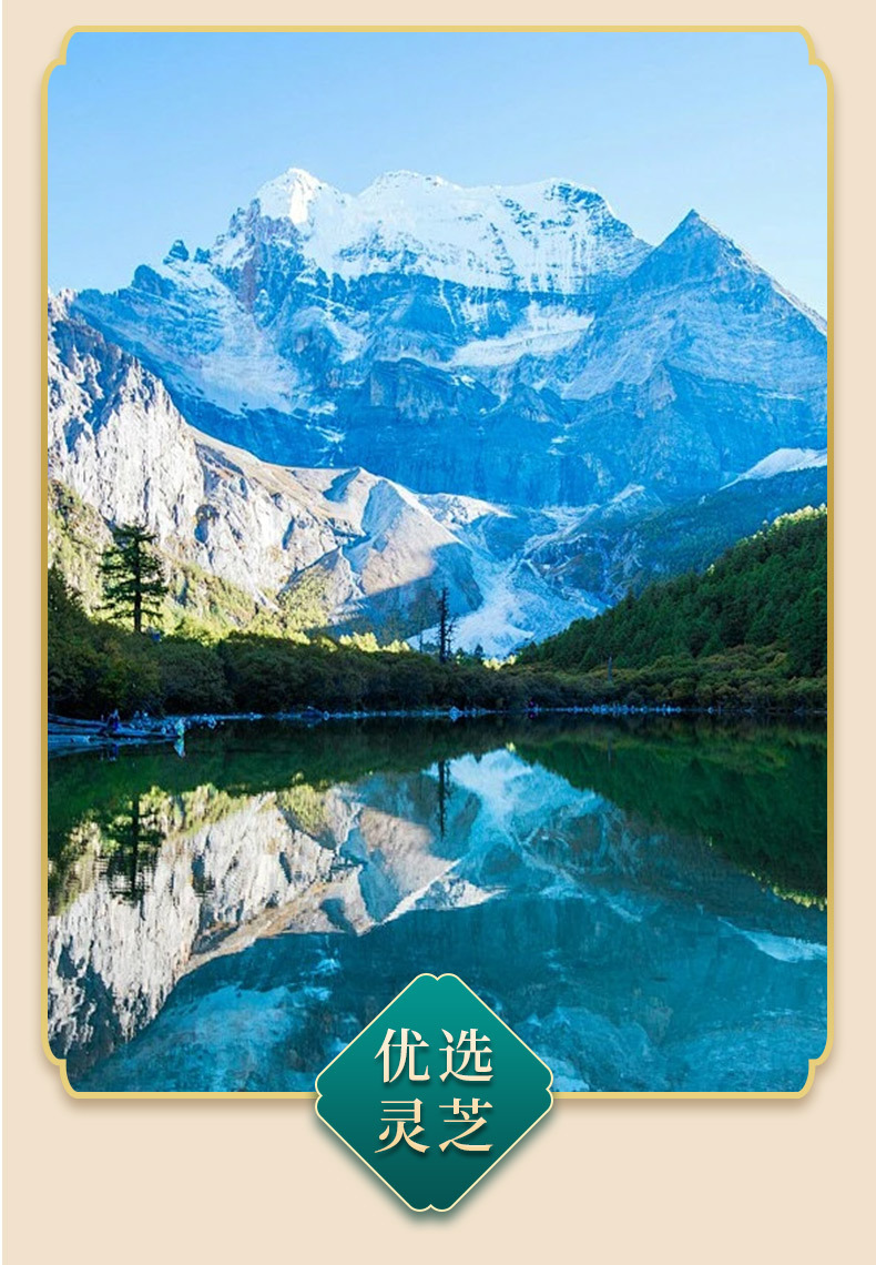 Reishi Mushroom Spore Powder Gift Box Changbai Mountain Lingzhi Spore Powder 100g specifications