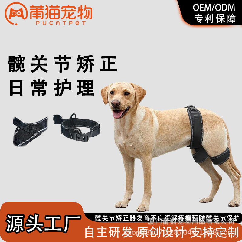 国境を越えてペット犬の股関節矯正器の発育不良支持帯が痛みを緩和して寛骨関保護を予防する|undefined