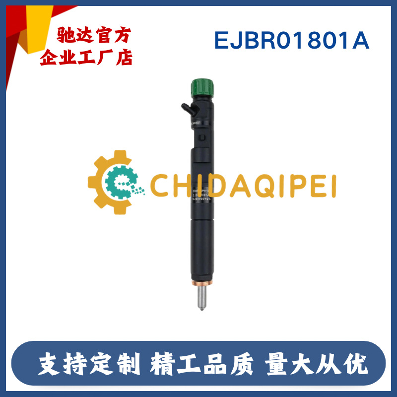 Ejbr05101D Common Rail Injector 28232251 8200676774 for 1.5Ldci Renault