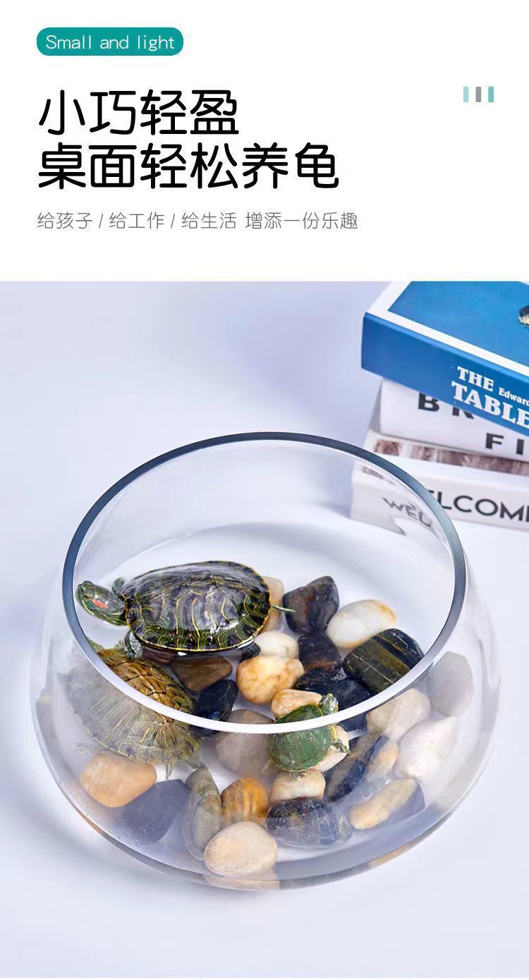 cba5333f-b506-4860-8706-a978a9c57dd1.jpe