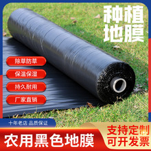 SֱNڵĤ׵Ĥ Ҏȫr r߲˳݌ϱĤ