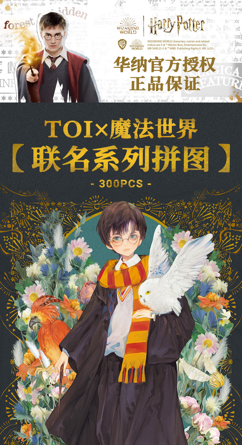 TOI哈利波特拼图