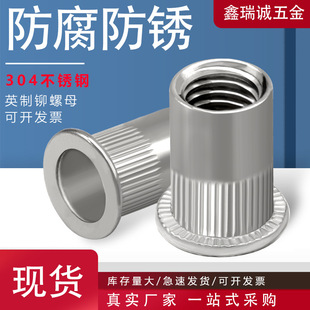 �S��ֱ��304���P�Ӣ�����T��ĸƽ�^�Q�y�T��ñ ��Ӣ�ƝL���T��ĸ