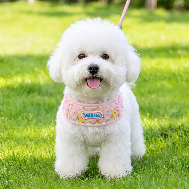 Breathable chest harness leash for dogs in spring, summer, and autumn, anti-escape dog leash for small and medium-sized pets, direct supply from the manufacturer