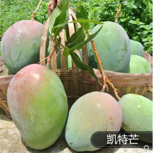 �޽�Ҭ��â����ˮ������̨�r1̖ �O��â ��â ���x��âͥԺ����ľ