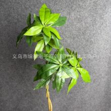 �羳����Gֲ�lؔ���~�ӿ羳���l�͏d�Ҿ��b��쾰�[��һ�����l