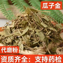 中药材 瓜子金 瓜子金草 瓜子草 挂米草 辰砂草 支持药检 代磨粉